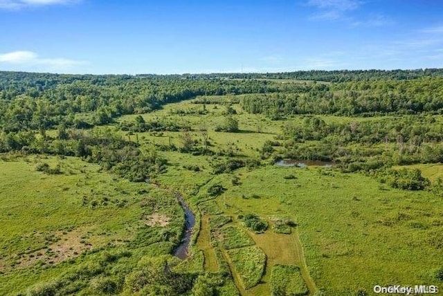 L8.111 Churches Rd, Ridges, NY 12053