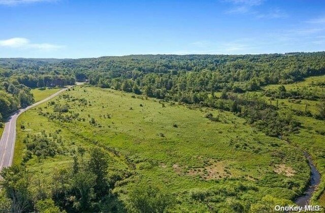 L8.111 Churches Rd, Ridges, NY 12053