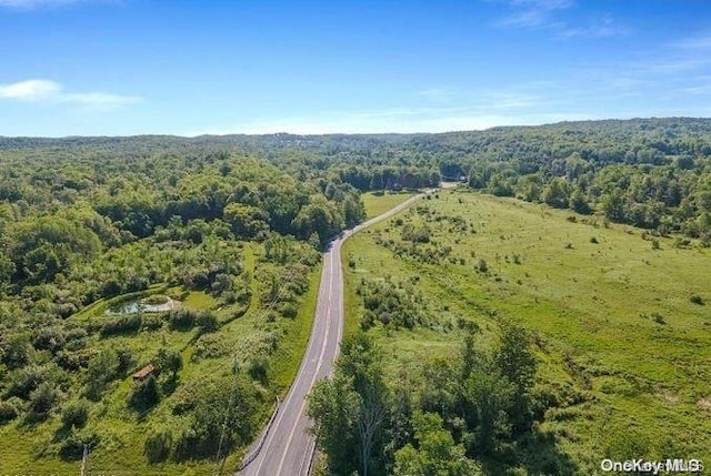L8.111 Churches Rd, Ridges, NY 12053
