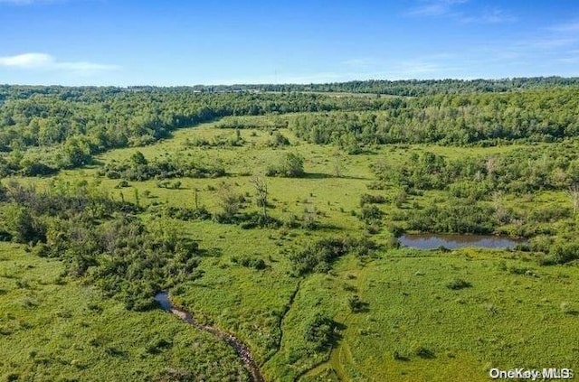 L8.111 Churches Rd, Ridges, NY 12053