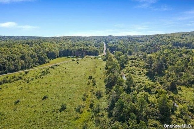 L8.111 Churches Rd, Ridges, NY 12053