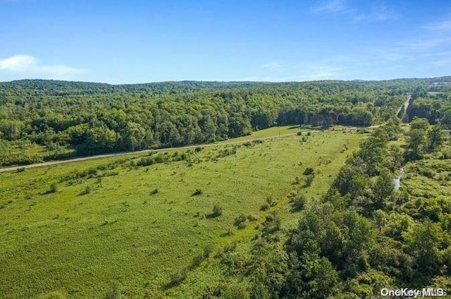 L8.111 Churches Rd, Ridges, NY 12053