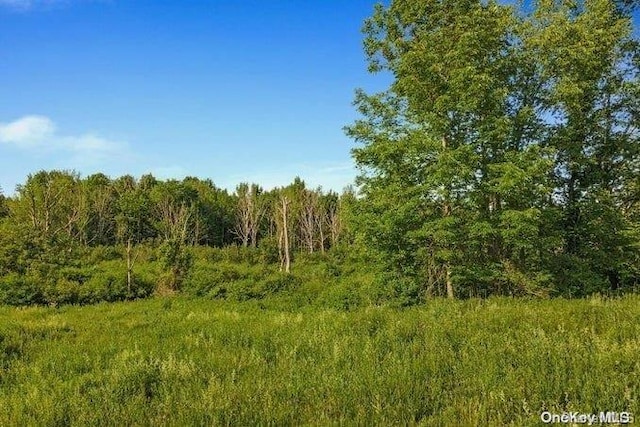 L8.111 Churches Rd, Ridges, NY 12053