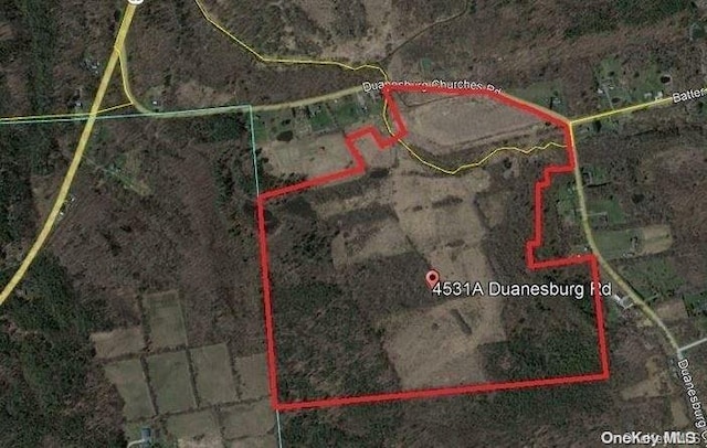 L8.111 Churches Rd, Ridges, NY 12053