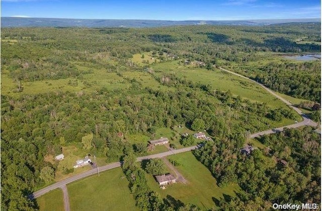 L8.111 Churches Rd, Ridges NY, 12053 land for sale