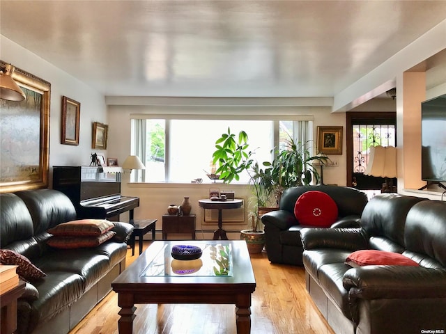 living room with a healthy amount of sunlight and light hardwood / wood-style floors