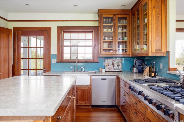 kitchen with plenty of natural light, appliances with stainless steel finishes, dark hardwood / wood-style floors, and sink