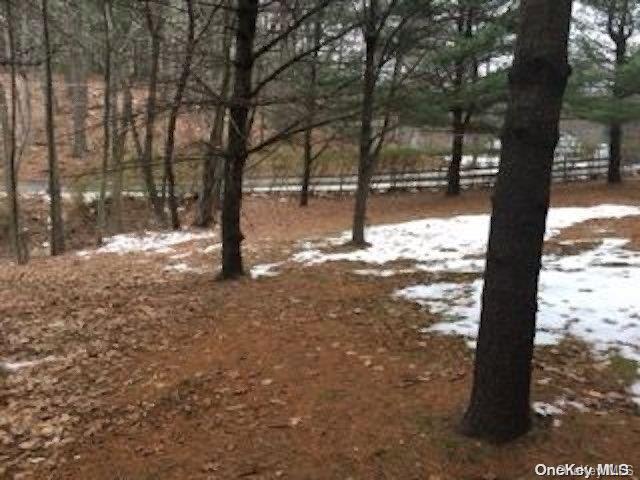 143 Robbins Rd, Mount Hope NY, 10963 land for sale