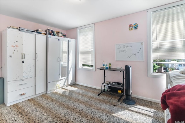 bedroom featuring carpet flooring