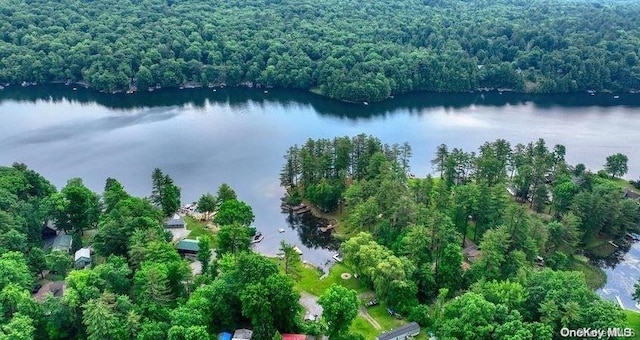 L.12.3 Hadlock Pond Rd, NY, 12827 land for sale