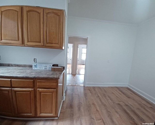 kitchen with light wood-type flooring and crown molding