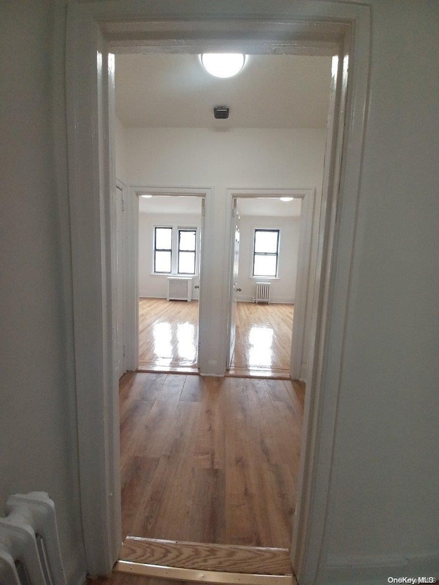 hall featuring wood-type flooring and radiator