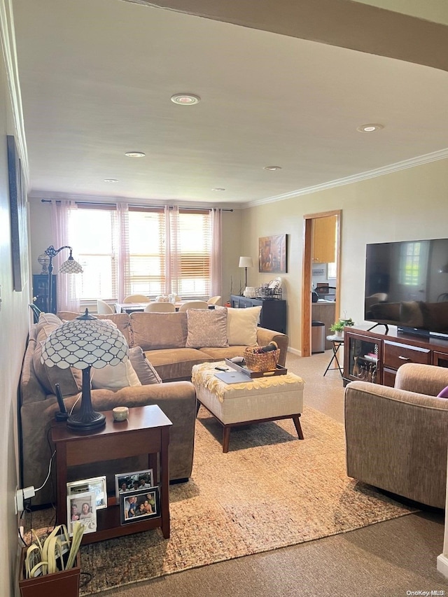 living room featuring carpet and ornamental molding