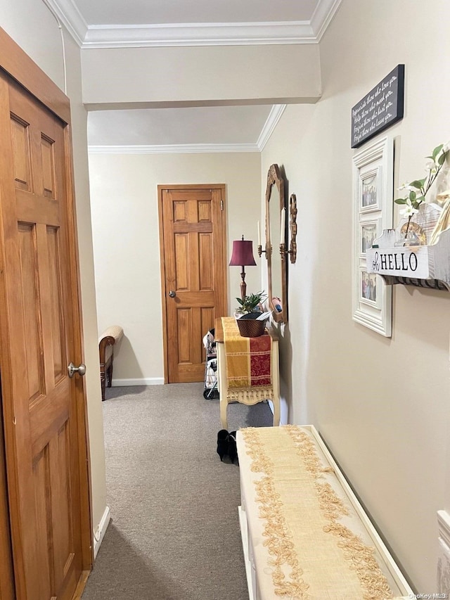 corridor with beam ceiling, carpet floors, and ornamental molding