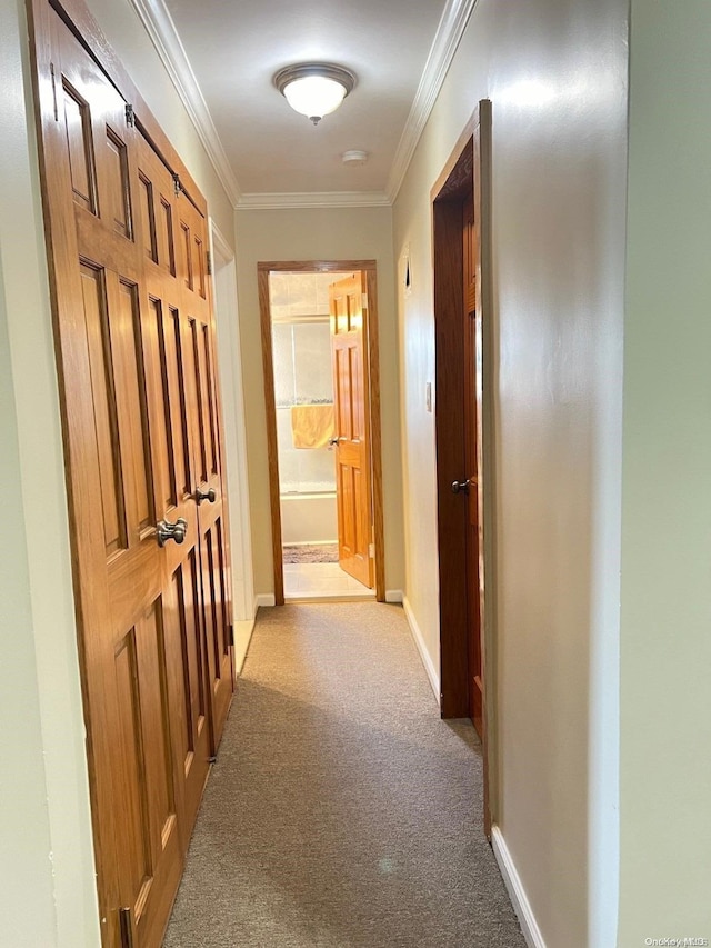 corridor featuring light colored carpet and ornamental molding