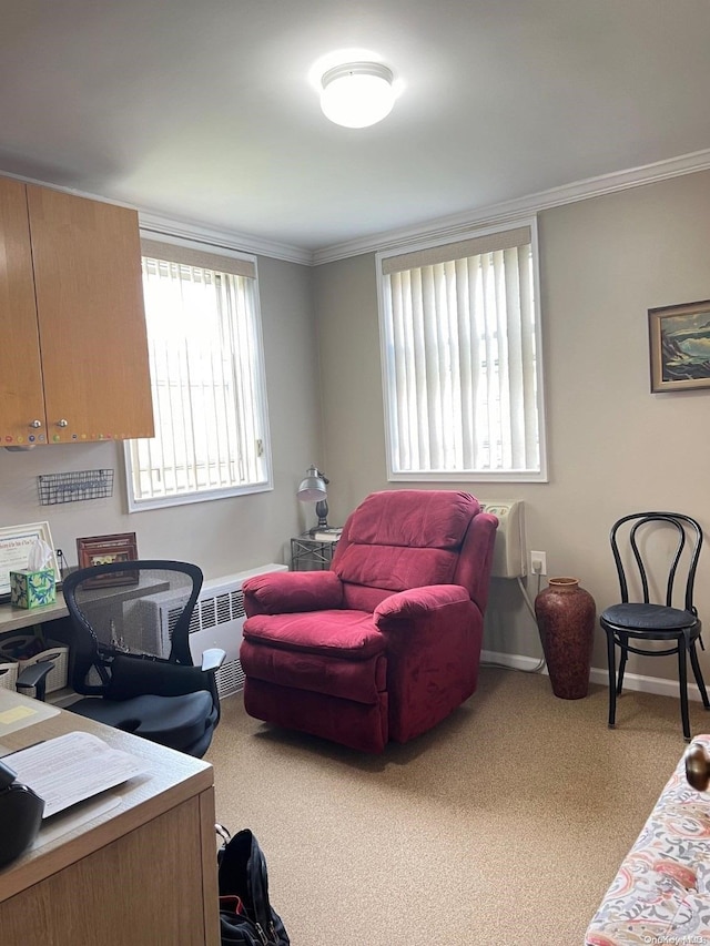 carpeted office featuring ornamental molding and radiator