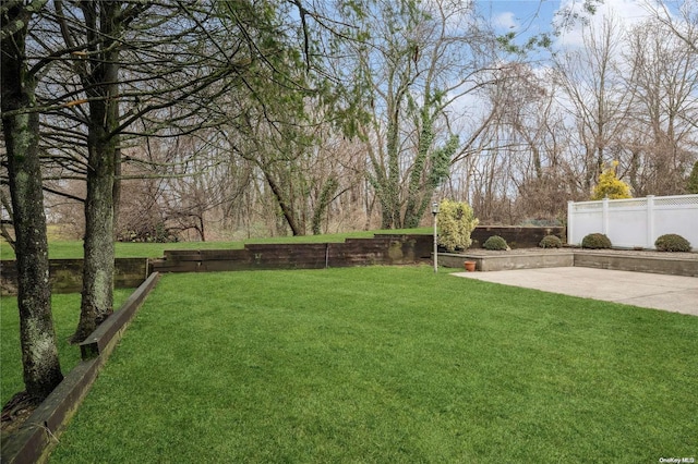 view of yard with a patio