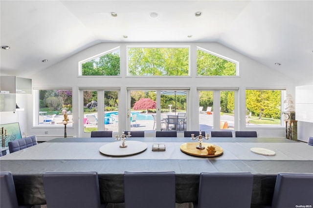 interior space with plenty of natural light and lofted ceiling