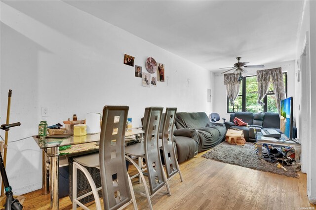 dining space with ceiling fan and light hardwood / wood-style floors