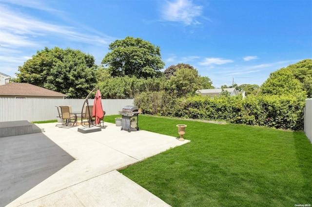 view of yard featuring a patio area