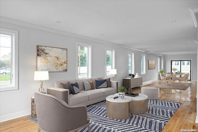 living room with light hardwood / wood-style floors, ornamental molding, and a wealth of natural light