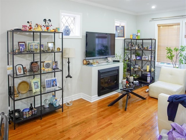 living room with hardwood / wood-style floors and ornamental molding