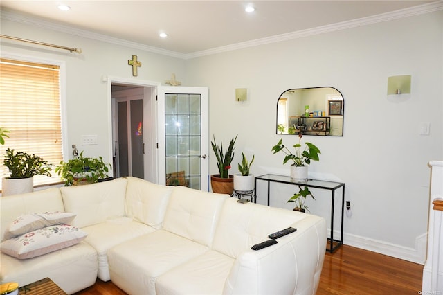 living room featuring dark hardwood / wood-style flooring and ornamental molding