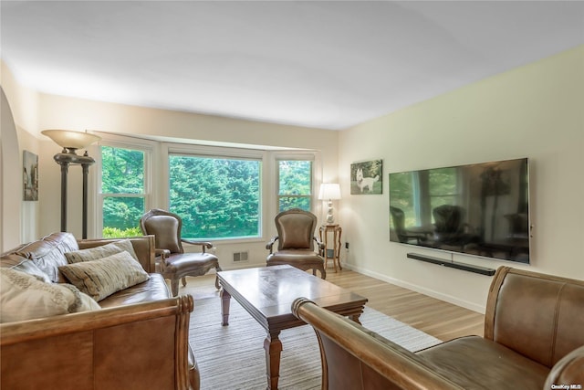 living room featuring light hardwood / wood-style floors