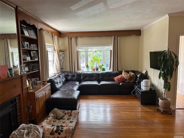 living room with light hardwood / wood-style flooring and crown molding