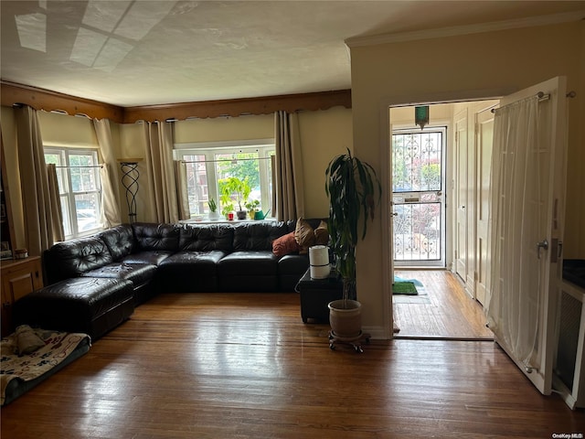 living room featuring crown molding, a healthy amount of sunlight, and wood-type flooring