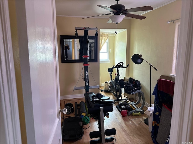 exercise room with hardwood / wood-style floors, ceiling fan, and crown molding