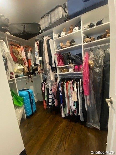 spacious closet with dark wood-type flooring