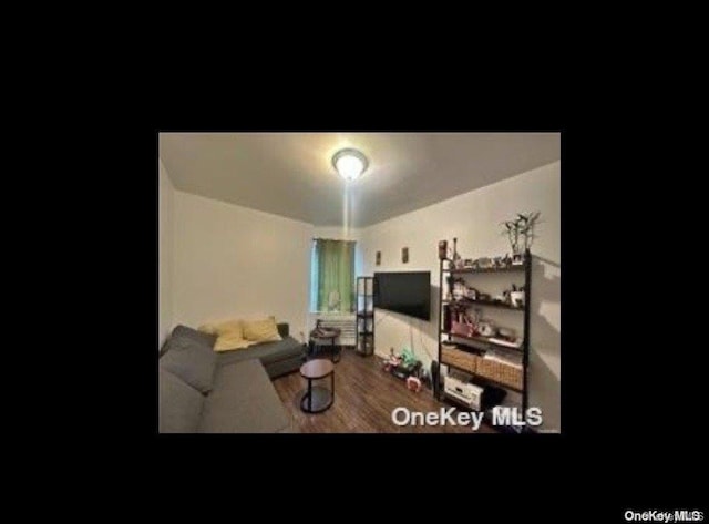 living room featuring hardwood / wood-style flooring