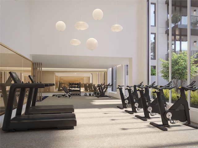 gym with carpet and a high ceiling