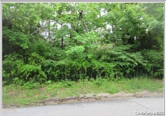 0 Mount Vernon Ave, Patchogue NY, 11772 land for sale