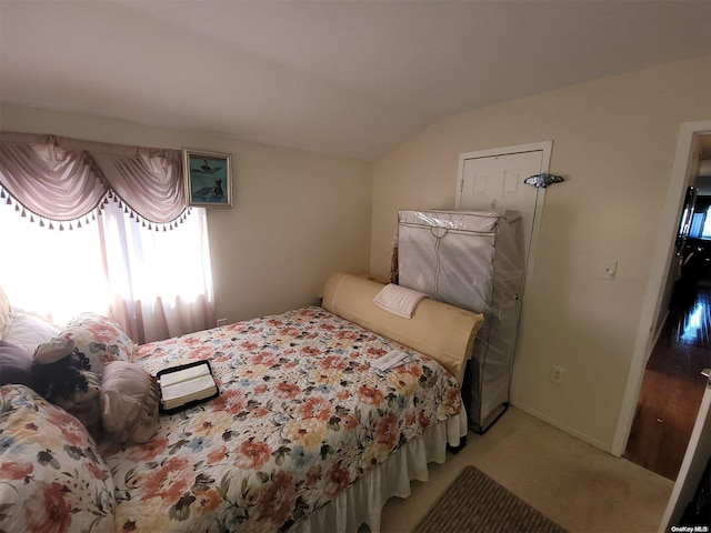 bedroom with lofted ceiling and carpet floors