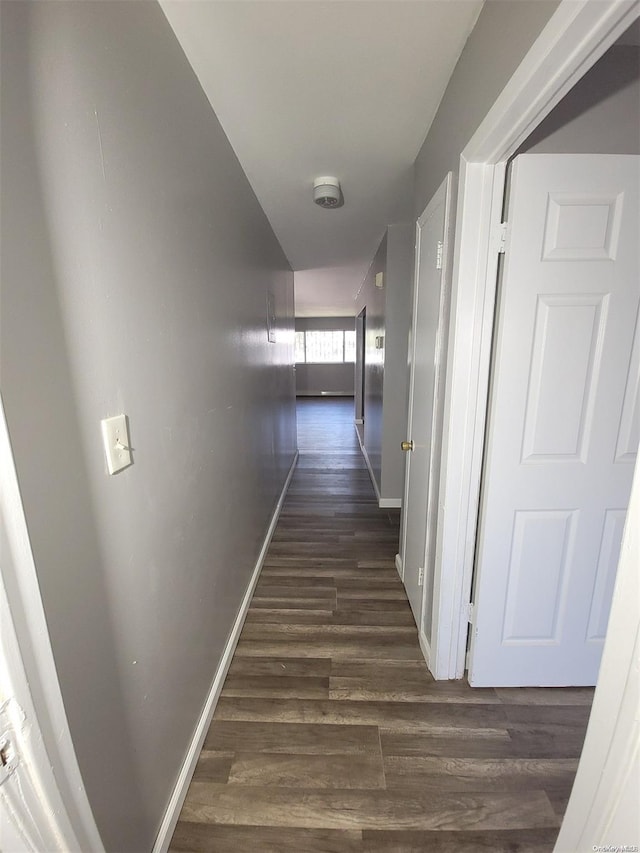 hallway with dark wood-type flooring