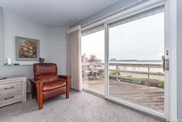 sitting room with light carpet