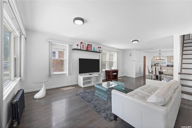 living room with plenty of natural light, dark hardwood / wood-style floors, and radiator