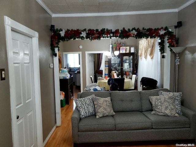 living room with a chandelier, light hardwood / wood-style floors, and crown molding