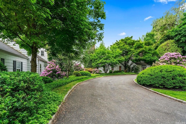 200 Cleft Rd, Mill Neck, NY 11765 - view of asphalt road featuring curbs