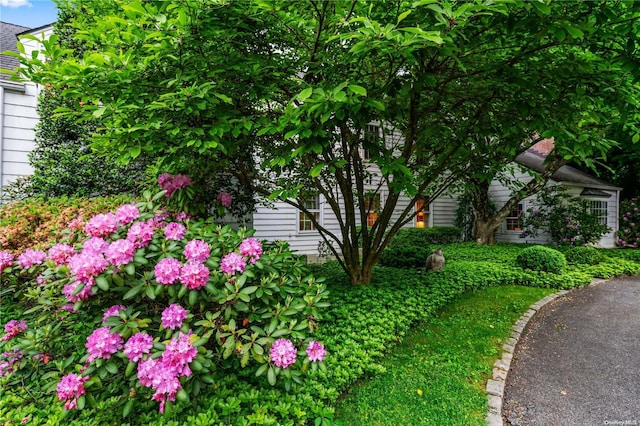 200 Cleft Rd, Mill Neck, NY 11765 - view of yard