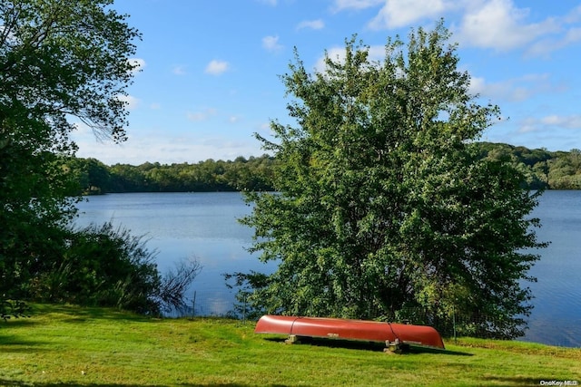 200 Cleft Rd, Mill Neck, NY 11765 - water view with a forest