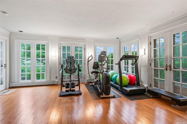 exercise room with french doors, plenty of natural light, and hardwood / wood-style flooring