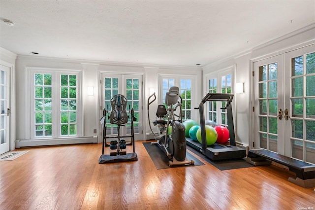 200 Cleft Rd, Mill Neck, NY 11765 - exercise area with french doors, crown molding, baseboard heating, and wood finished floors