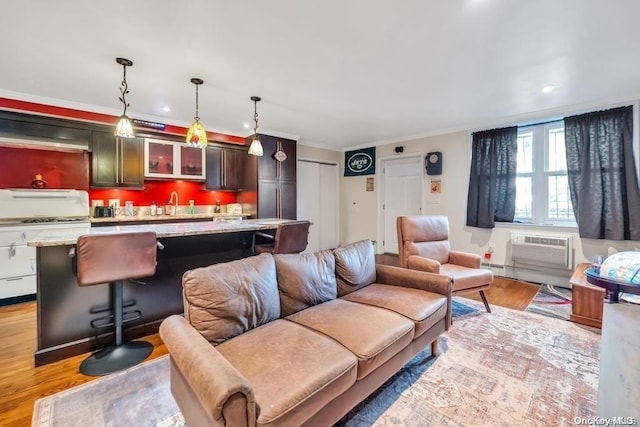 living room featuring light hardwood / wood-style flooring, crown molding, and sink