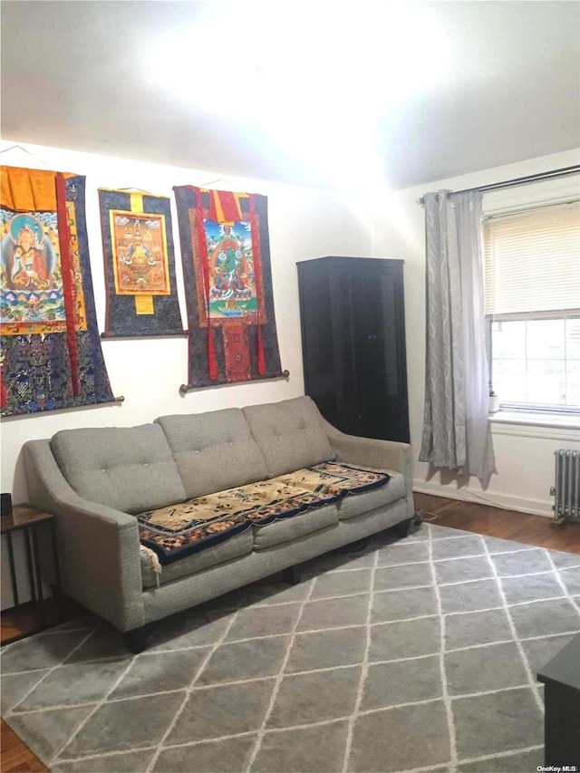 living room featuring dark hardwood / wood-style floors and radiator heating unit