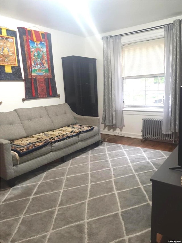 living room with dark hardwood / wood-style floors and radiator