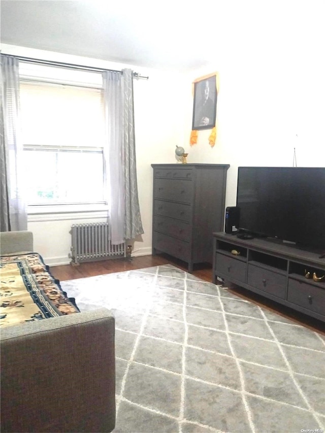 sitting room with radiator