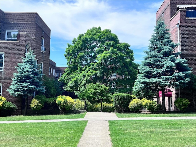 view of community with a yard